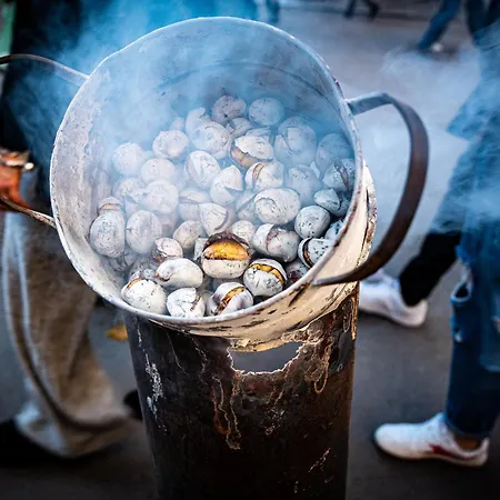 Konukevi Una Room 4*